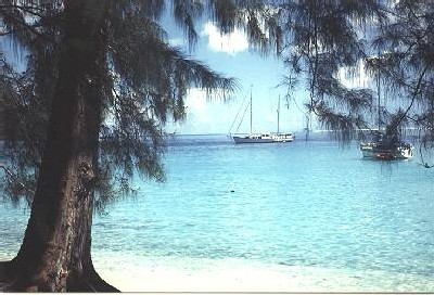 Polynésie : tourisme, ''l'un des points noirs de 2004'' Polynésie : tourisme, ''l'un des points noirs de 2004''