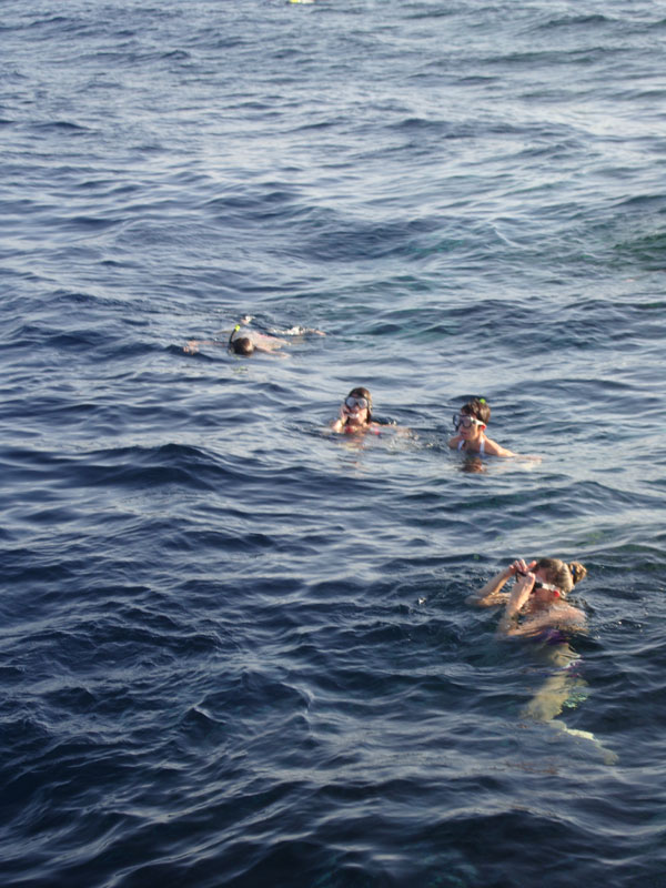snorkeling.jpg